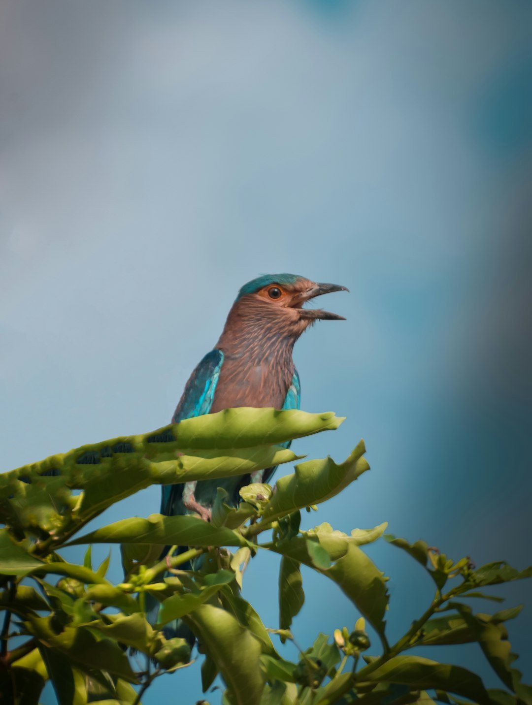 a bird sitting on a branch