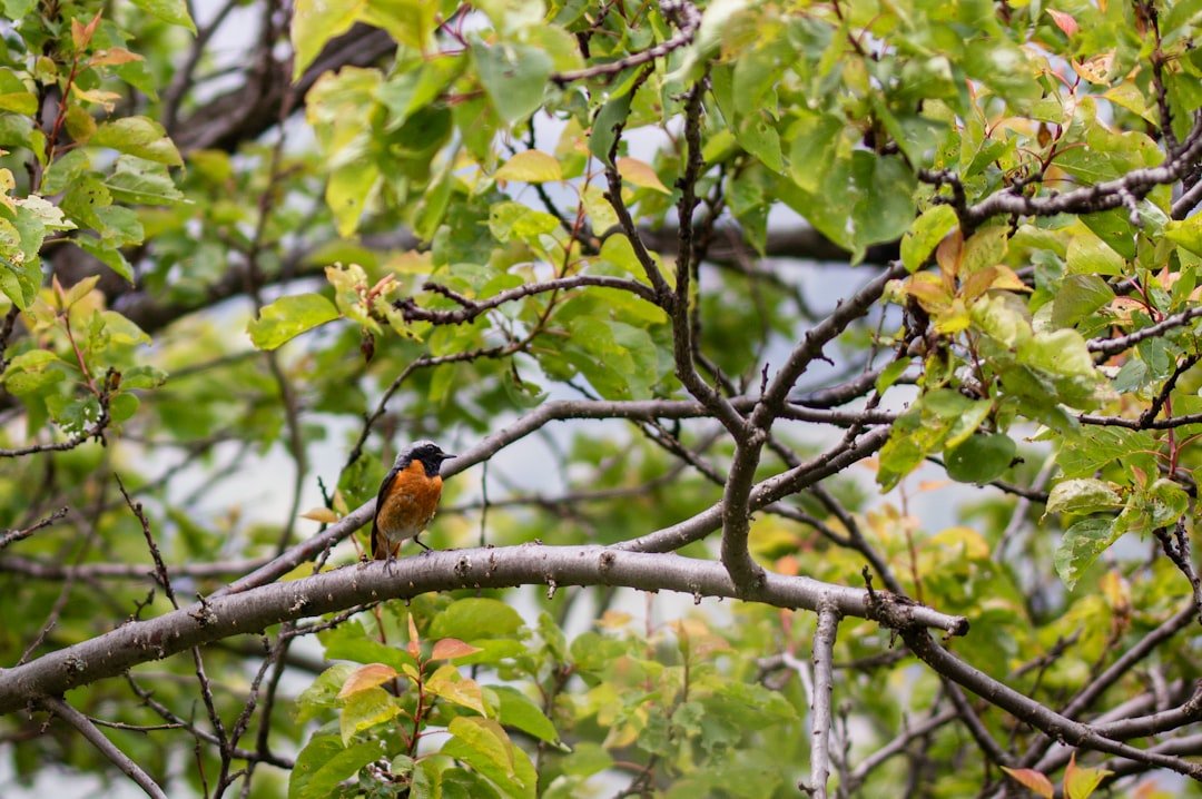 a small bird perched on a tree branch