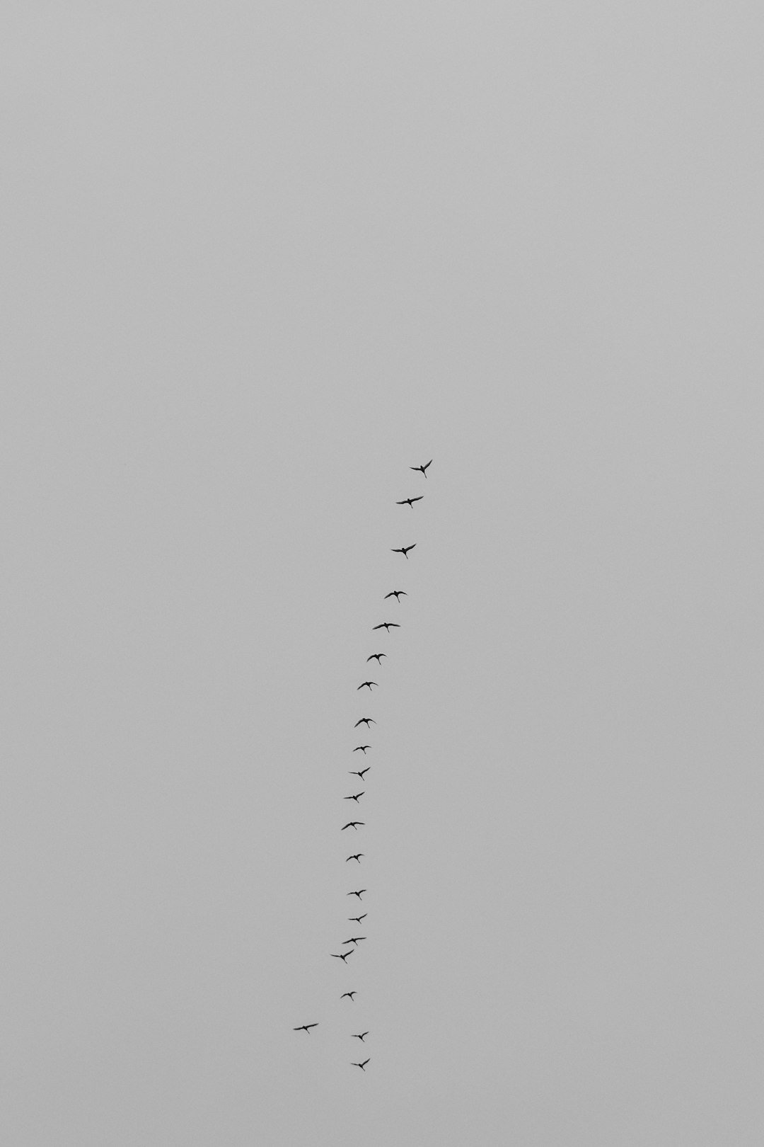 white smoke on gray sky