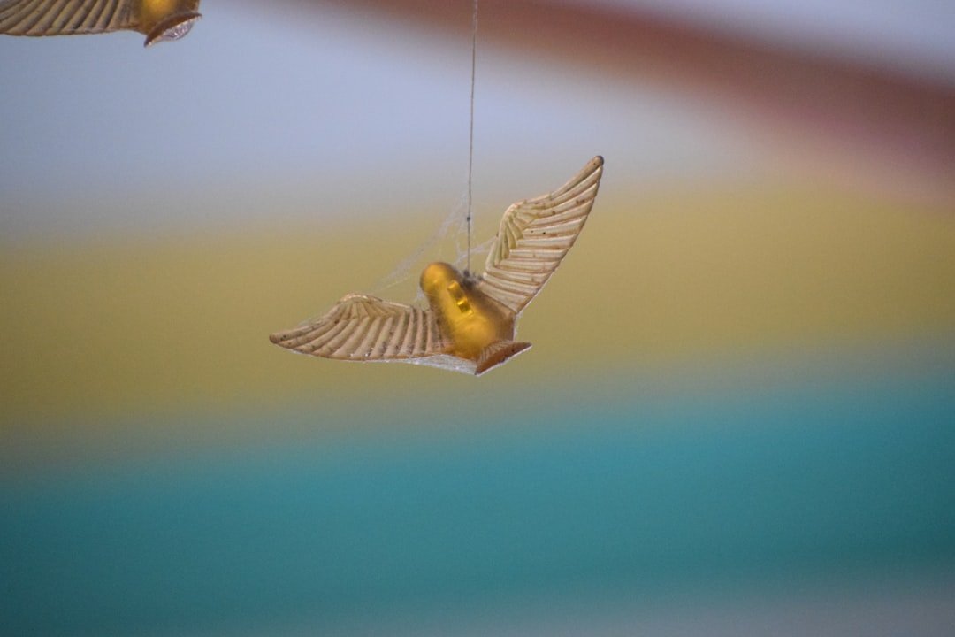 brown and white bird flying