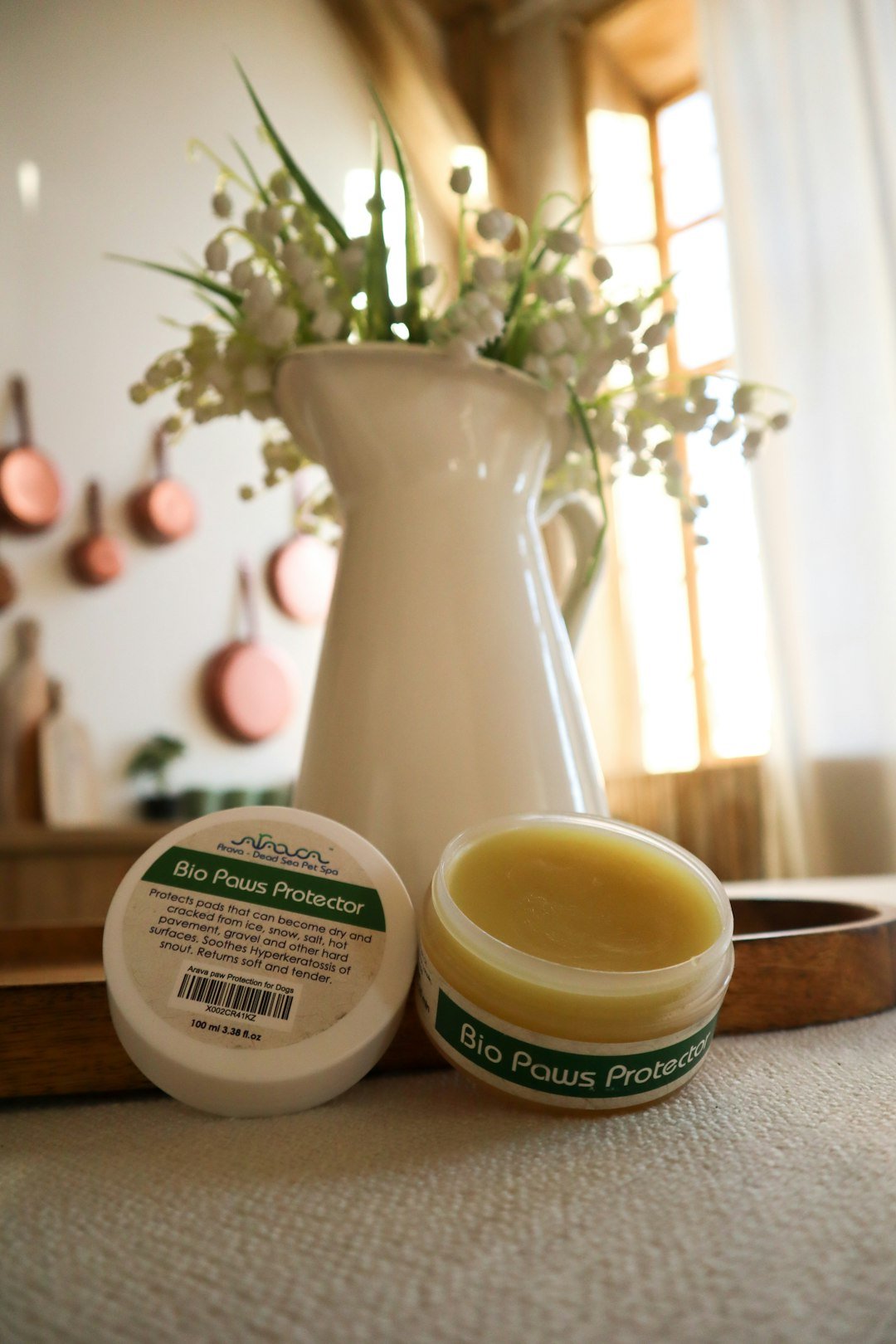 a vase with a plant in it