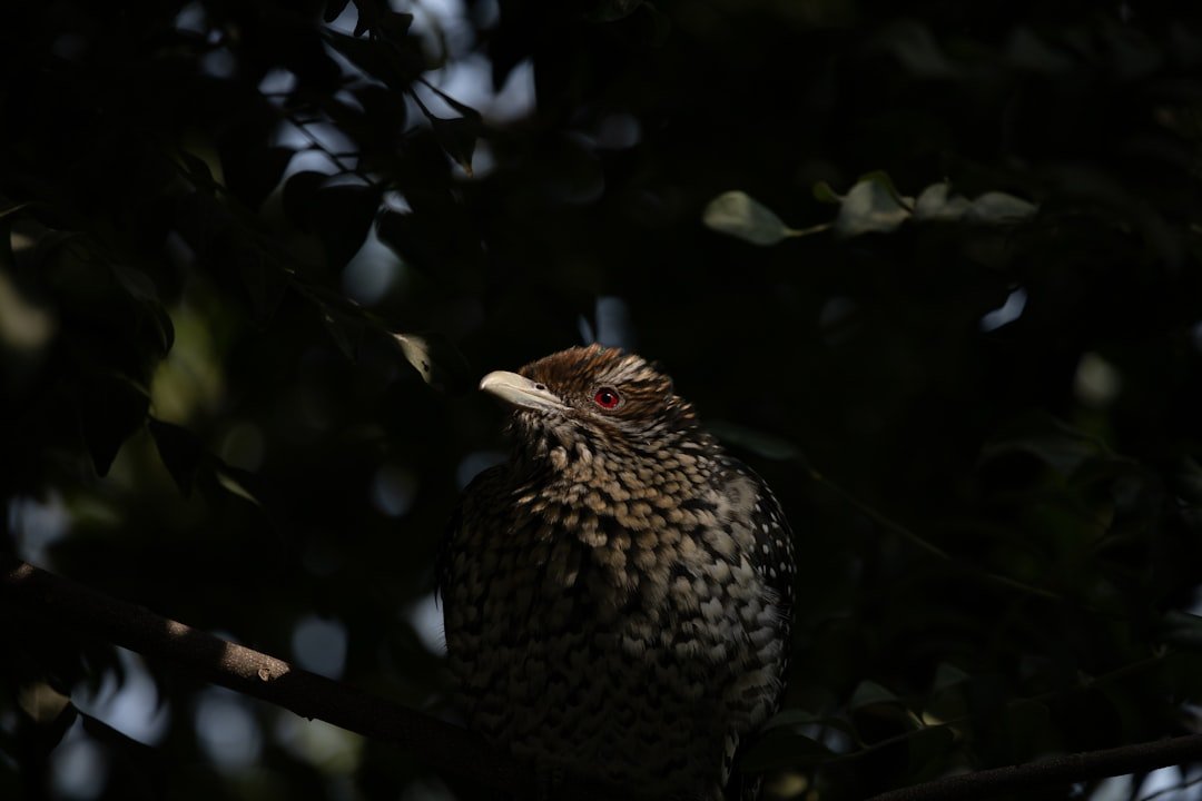 a bird is sitting on a tree branch