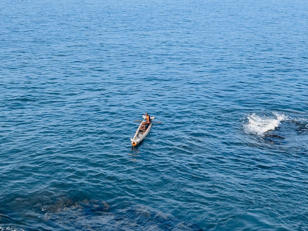 A person on a surfboard in the water