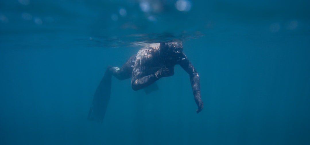 person in black wet suit swimming in water
