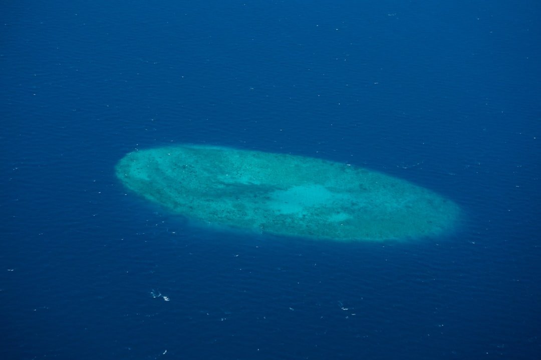 A large underwater formation floats in the deep blue.